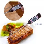 Термометр электронный для кухни и для еды NicePrice TP 101 в колпаке PR3