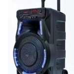 Акустическая система Колонка чемодан на аккумуляторе с микрофоном ZPX ZX-7774 90 Вт