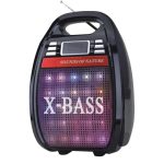 Колонка портативная акустическая система с микрофоном и FM радио BT Golon RX 810
