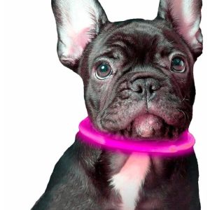 LED нашийник для собак універсальний з регульованою довжиною 10-70 см ∙ USB зарядка ∙ 3 режими свічення ошийника