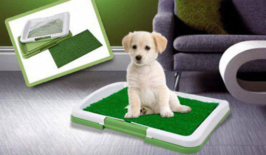 Туалет для собак та котів Puppy Potty Pad - Зображення 2