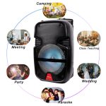 Колонка бездротова з підсвіткою та мікрофоном 6,5" ∙ Bluetooth-колонка з функцією караоке 6,5"